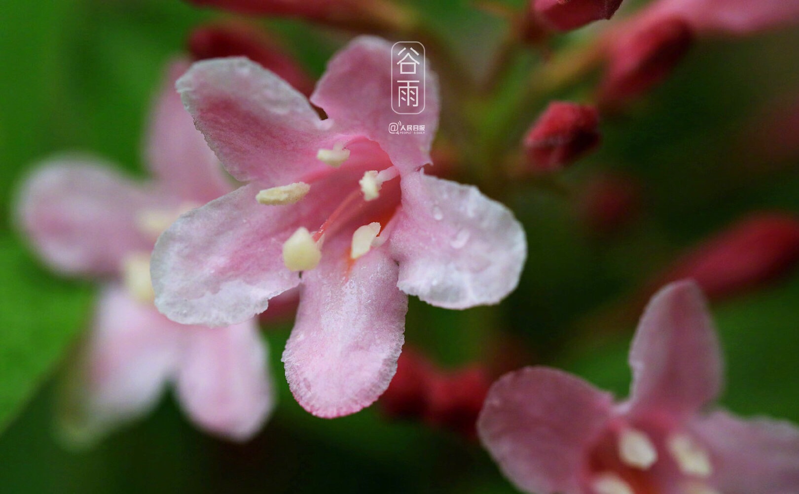 新沂市完成2020年城鄉(xiāng)居保認(rèn)證工作