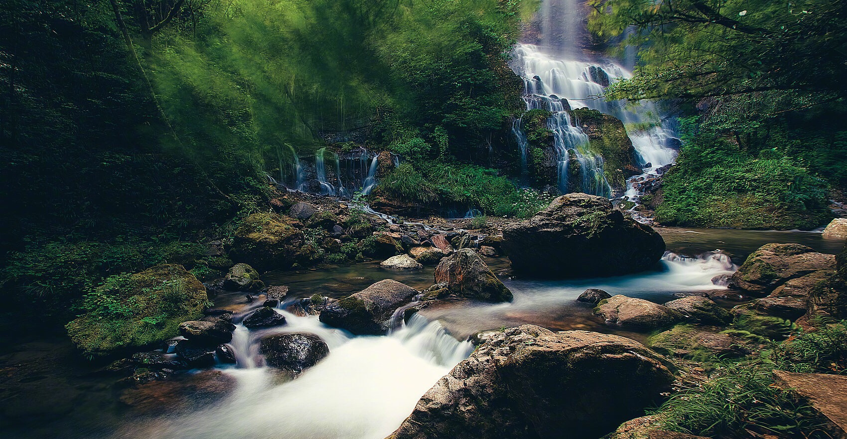 人社基層服務(wù)人社基層服務(wù)