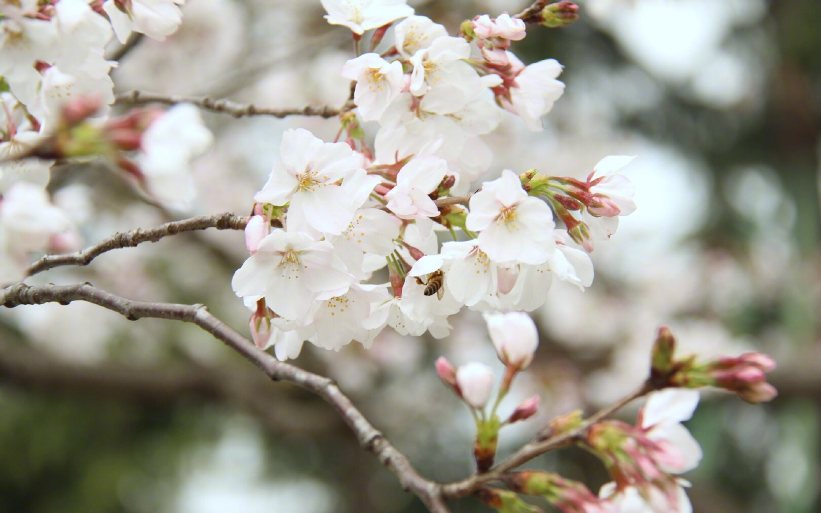 新沂市人社局開展2020年鎮(zhèn)村兩級公共服務(wù)事項清單更新及辦事