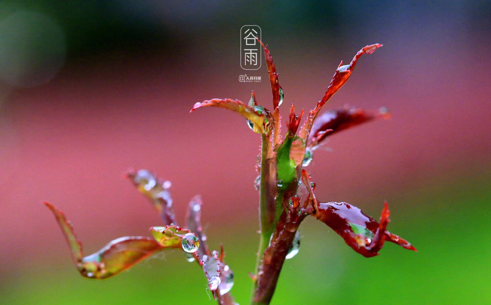 新沂市人社局扎實推進(jìn)“雙公示”數(shù)據(jù)報送工作