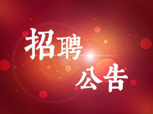 新沂市委政法委2020年補充招聘勞務派遣工作人員公告