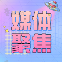 《人民網(wǎng)》報道新沂人社“春風行動”“鳳還巢”工程招聘月系列活